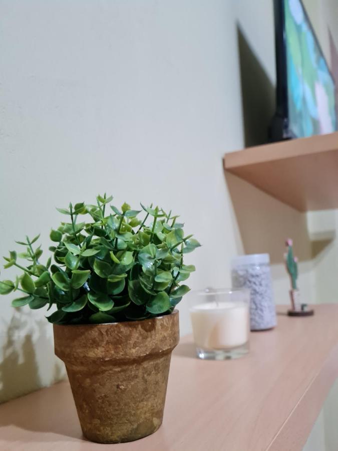 Ex-Block District Charming Studio Apartment With Treeish Sorrounding View! Tirana Bagian luar foto